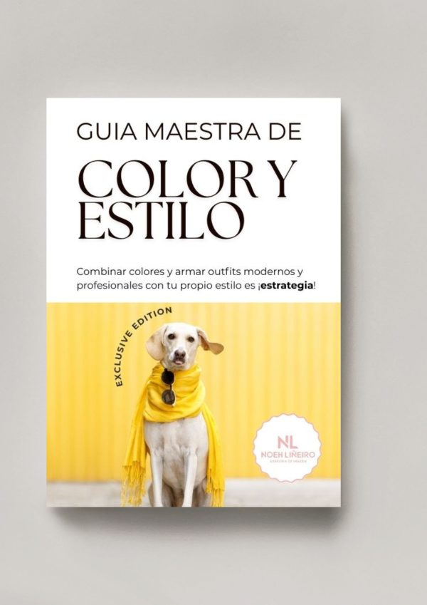 GUIA MAESTRA DE COLOR Y ESTILO